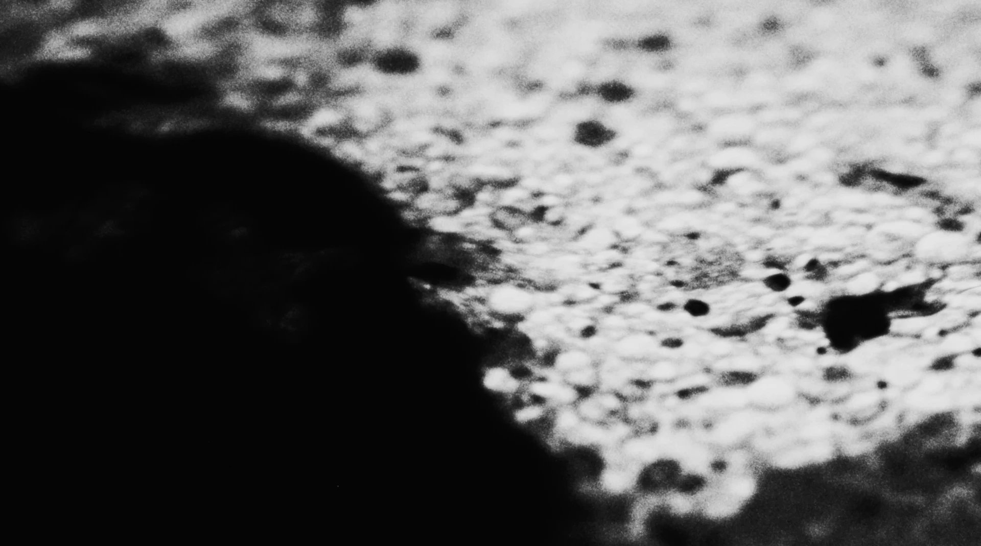 Black Matter — Matière