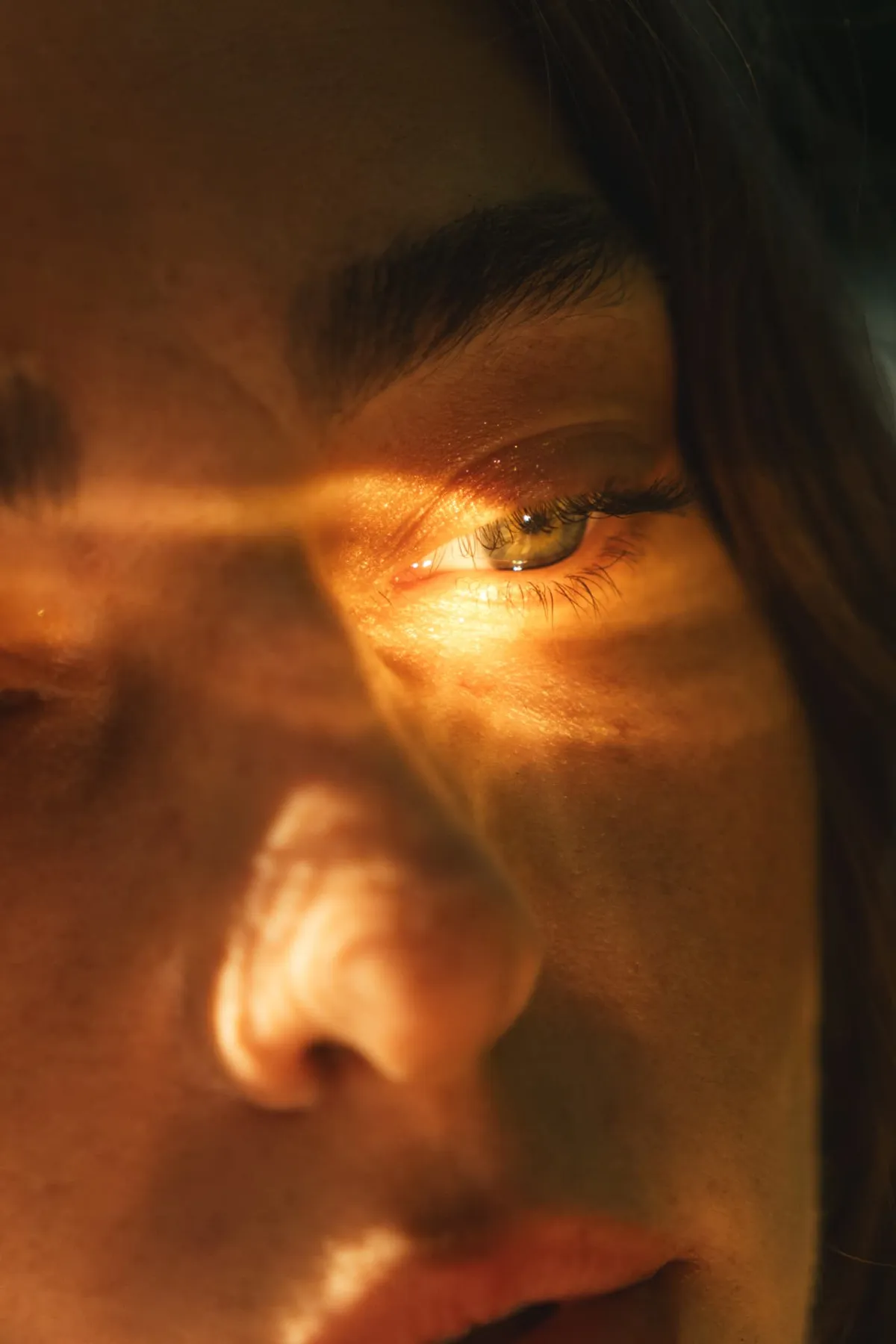 Librery Paris — Golden Light — Eye